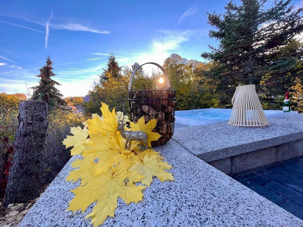 Ferienhaus Harzblick Meisdorf Luaran gambar